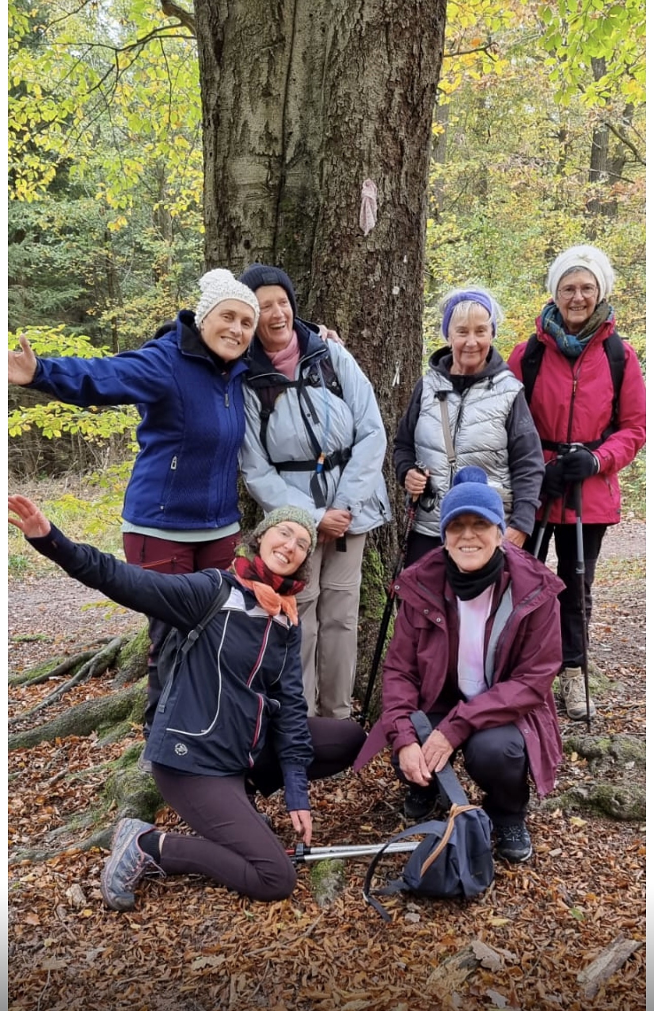 Groupe joyeux au pied d'un grand arbre en forêt
