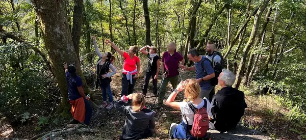 Pause en groupe dans la forêt