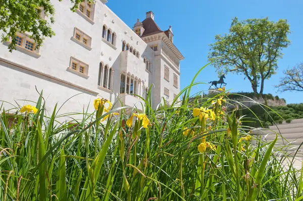 Le domaine et ses pelouses